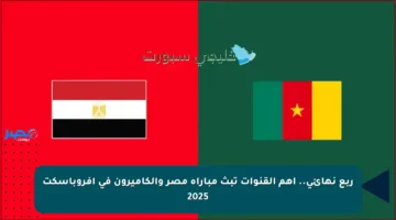 ربع نهائي.. أهم القنوات تبث مباراة مصر والكاميرون في أفروباسكت 2025